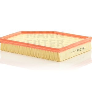 Oro filtras C30196