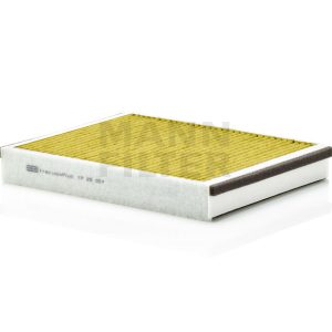 Salono filtras FP25007