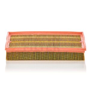 Oro filtras C33189