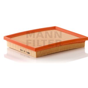 Oro filtras C22009