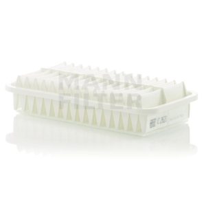Oro filtras C2620