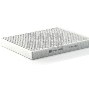 Salono filtras CUK2842