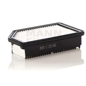 Oro filtras C25016