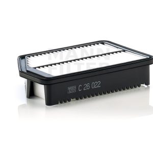 Oro filtras C26022