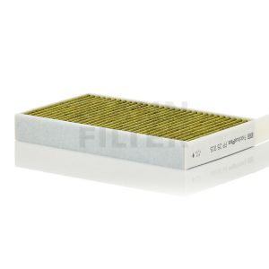 Salono filtras FP25015