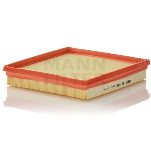 Oro filtras C22038