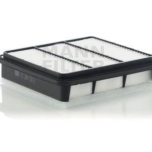 Oro filtras C24011