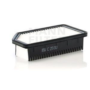 Oro filtras C25013