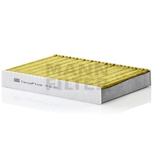 Salono filtras FP25003