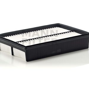 Oro filtras C2841
