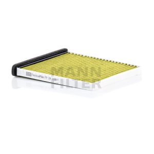 Salono filtras FP24009