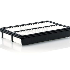 Oro filtras C27019