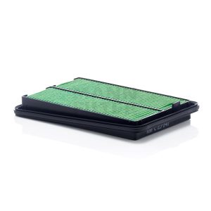 Oro filtras C25040