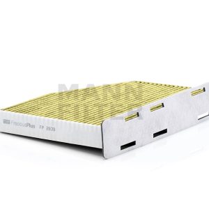 Salono filtras FP2939