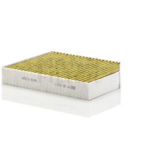 Salono filtras FP26023/1
