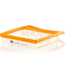 Oro filtras C21020