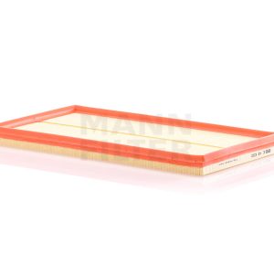 Oro filtras C42002