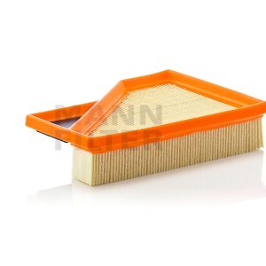 Oro filtras C2245