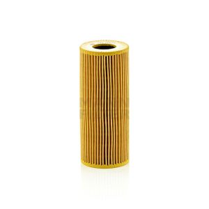 Tepalo filtras HU7029z