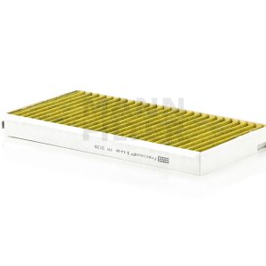 Salono filtras FP3139
