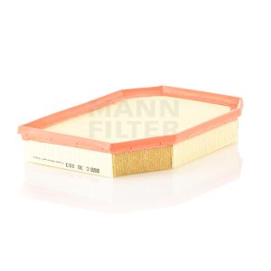 Oro filtras C30003