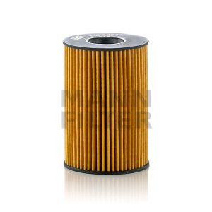 Tepalo filtras HU8007z