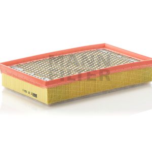 Oro filtras C30153/1