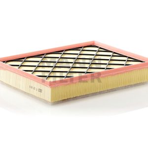 Oro filtras C33001