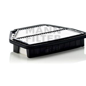 Oro filtras C29008