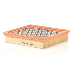 Oro filtras C22029