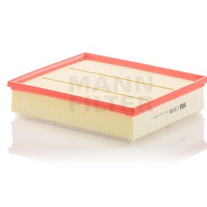 Oro filtras C29036