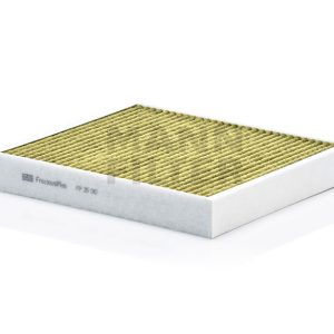 Salono filtras FP26010