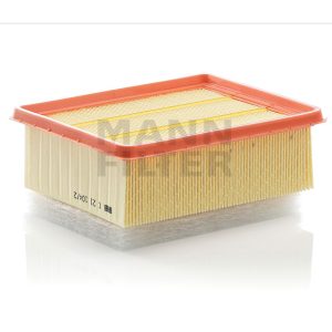 Oro filtras C21104/2
