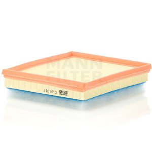 Oro filtras C24017