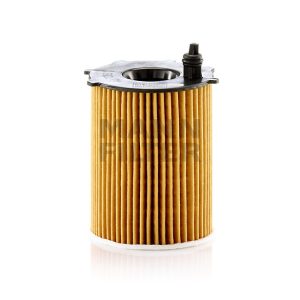 Tepalo filtras HU7033z