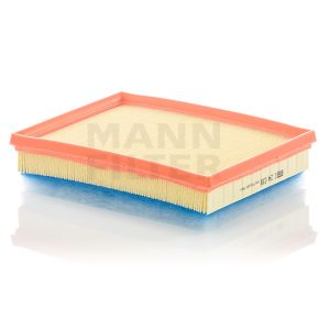 Oro filtras C24036
