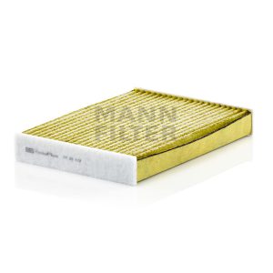 Salono filtras FP25012