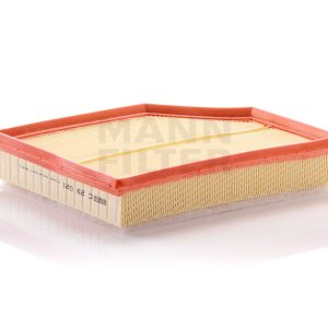 Oro filtras C29021