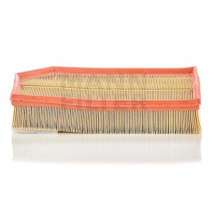 Oro filtras C33194