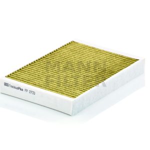 Salono filtras FP2733